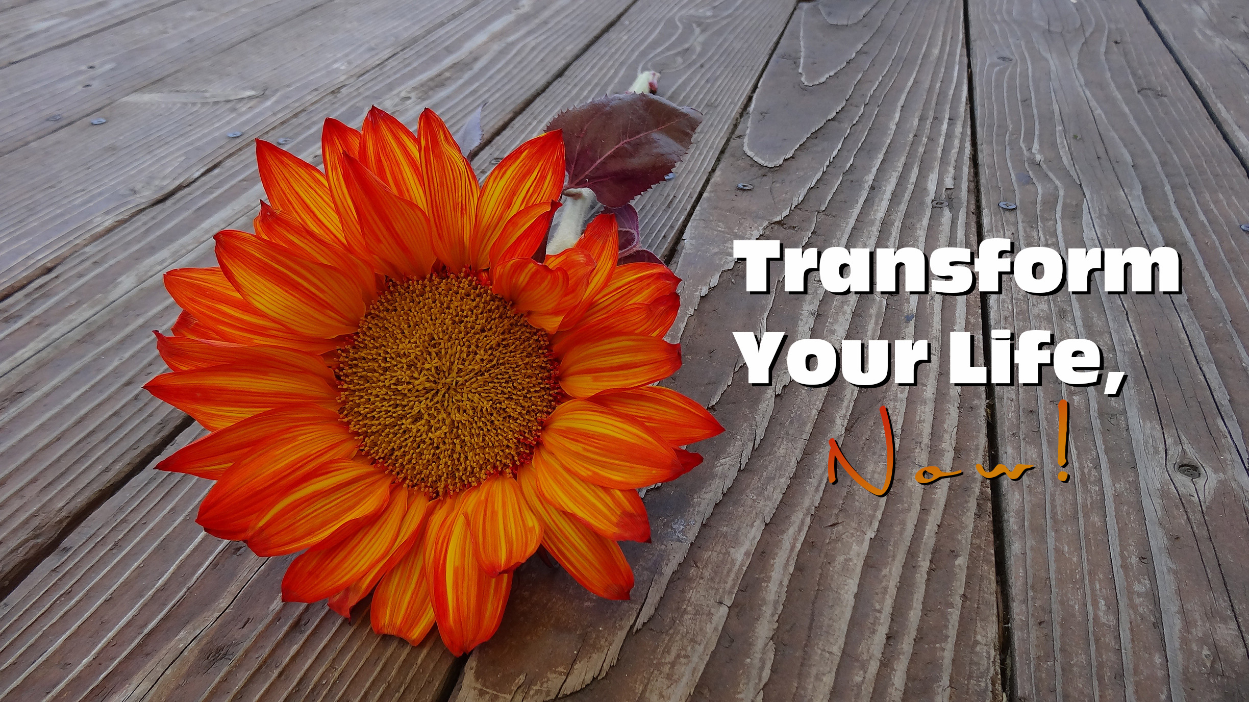 Transform Your Life, Now! - Best Self Help Online